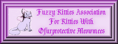 Fuzzy's Banner